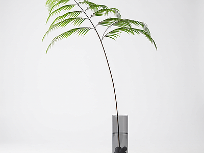带盆绿植模型