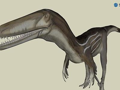 Austroraptor