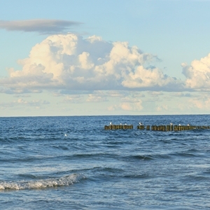 外景
