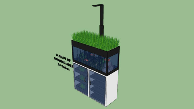 水族箱和水族馆 记分牌 显示器 火柴 垃圾箱