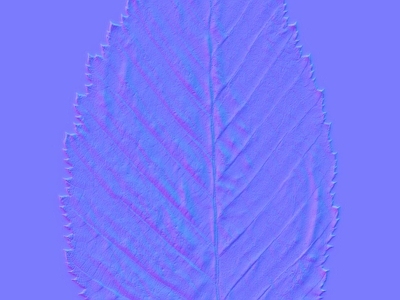 其他法线