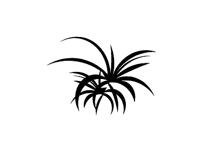 地被种植 上下楼梯床