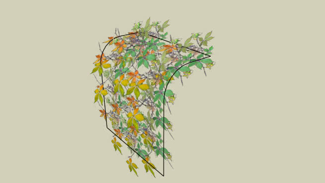 2D爬虫 植物 其他 风筝 画 花瓶