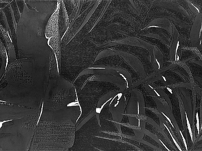 绿植墙