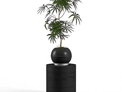 盆栽植物装饰组件