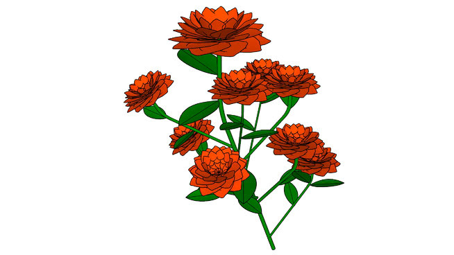 flower orange 花 画 植物 其他 水果