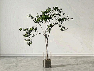造型绿植盆栽