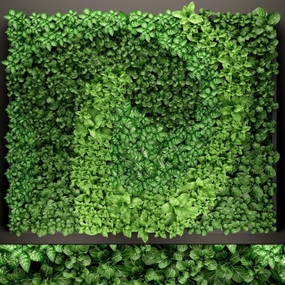 现代植物背景墙