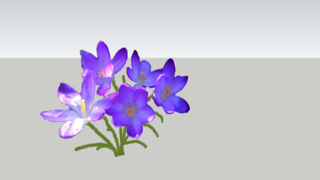芙蓉紫罗兰 其他 花 饰品 画