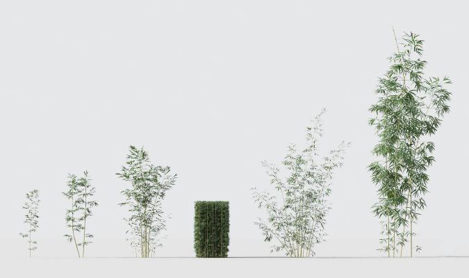 现代绿植竹子组合