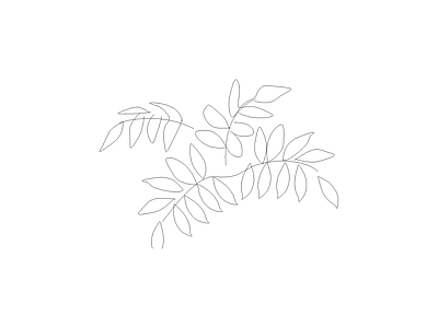 绿植 园林常见植物品种图例及说明