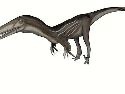 Austroraptor