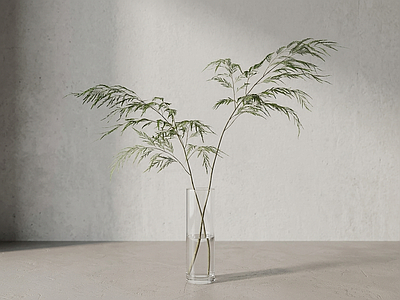 艺术绿植草本植物