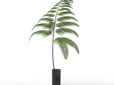 绿色枝叶植物模型