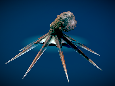 鱼缸