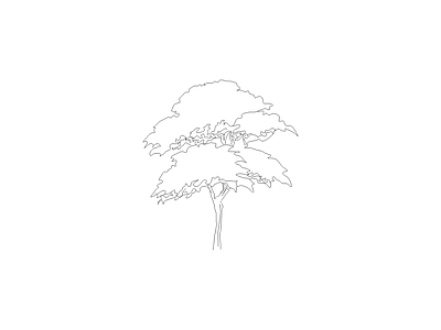 植物标准种植图 树