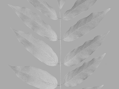 绿植墙