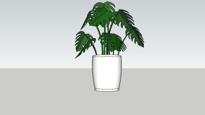 白罐植物 花瓶 瓶子 杯子 植物