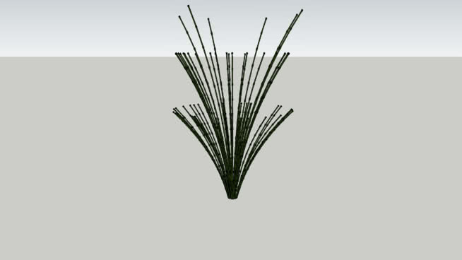 刷子 铅笔 植物 羽毛笔 鸢 书