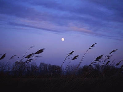 夜景