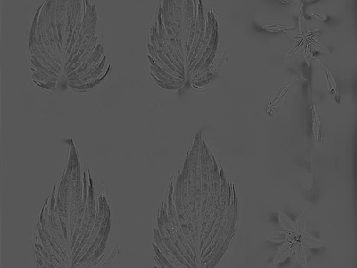 绿植墙