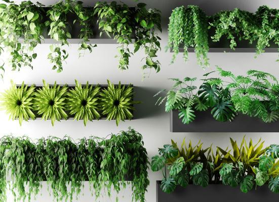 北欧植物盆栽 户外花草 墙挂植物