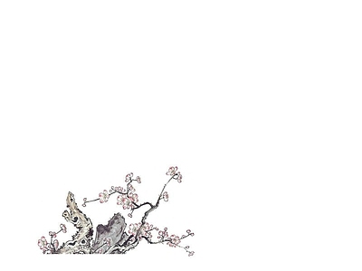 花朵纹理