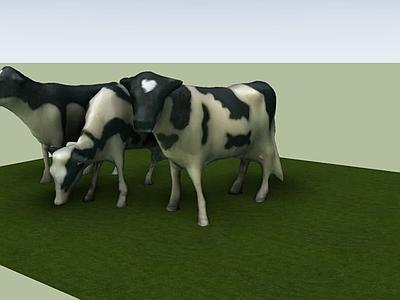 Dairy Cows