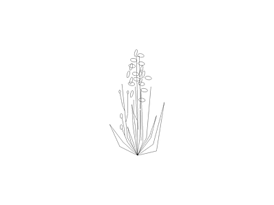 花 常用植物图例