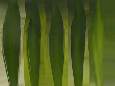 绿植墙