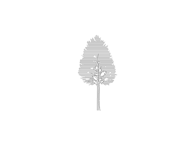 种绿植盆栽图块 植物