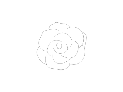 现代植物图块 蔷薇