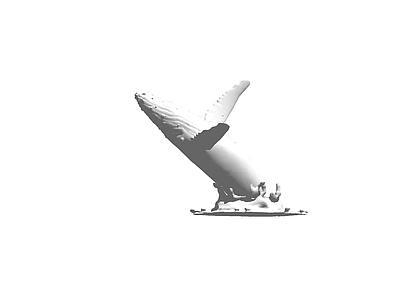 Whale