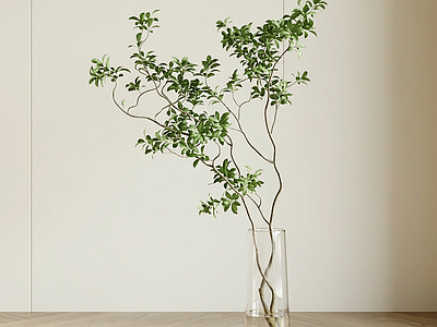 造型绿植灌木