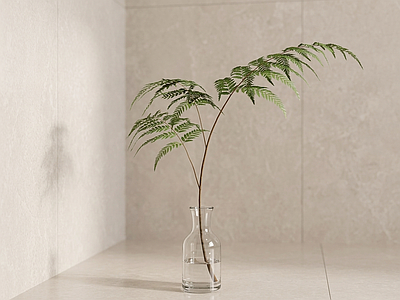 艺术绿植草本植物