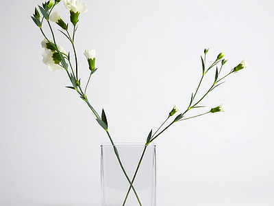 花瓶插花装饰