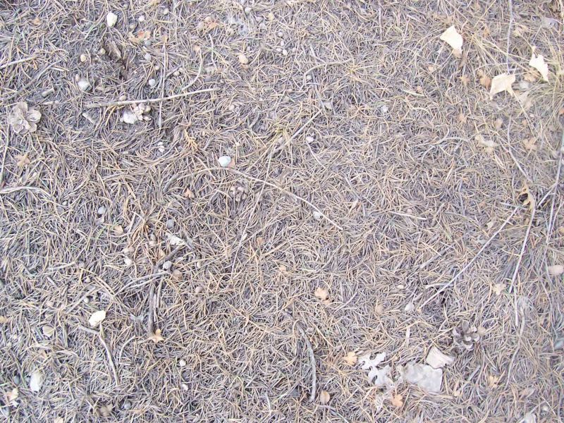 肌理 水泥 土地-草皮 041 草皮
