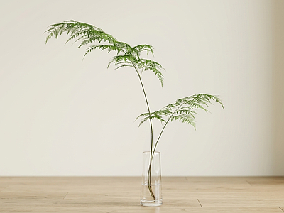 艺术绿植草本植物