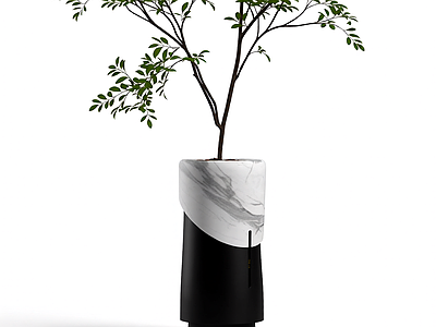 带盆绿植盆栽