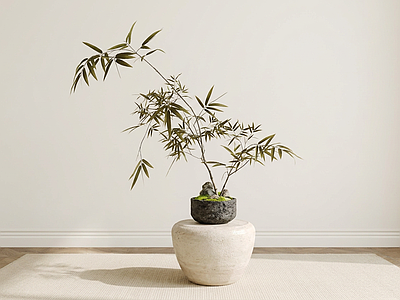 风格化盆栽绿植竹子