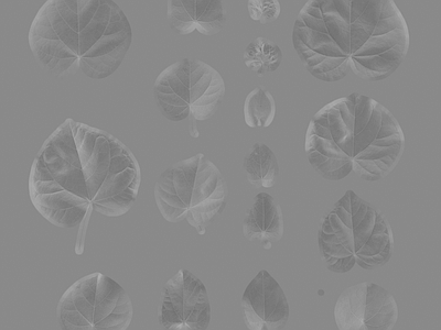 绿植墙