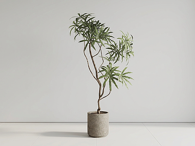 小型艺术绿植盆栽