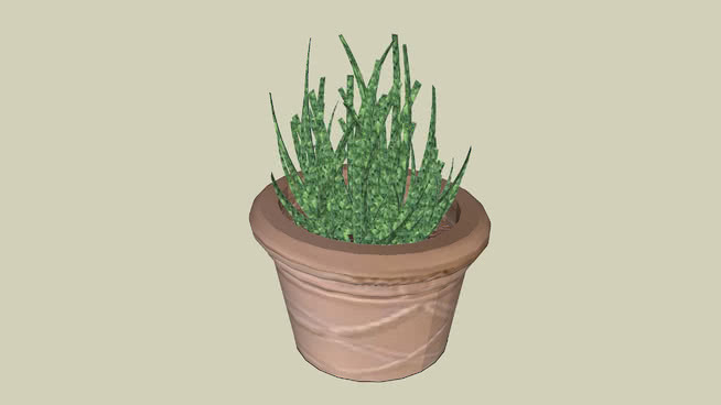 植物盆栽 植物 花盆 花瓶 其他