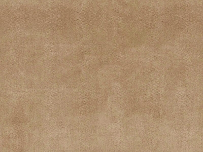 马来漆