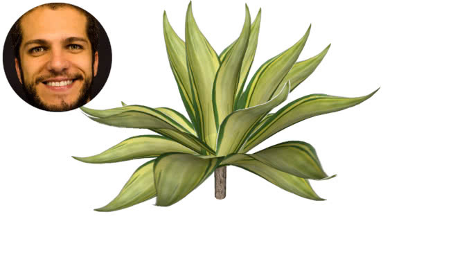 龙舌兰小号de大象drag茫o流形 植物 画 花 其他 花瓶