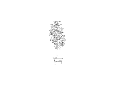 种绿植盆栽图块 植物