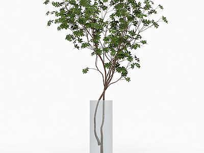 带盆绿植模型