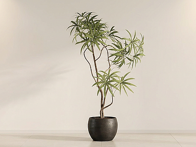 造型绿植盆栽