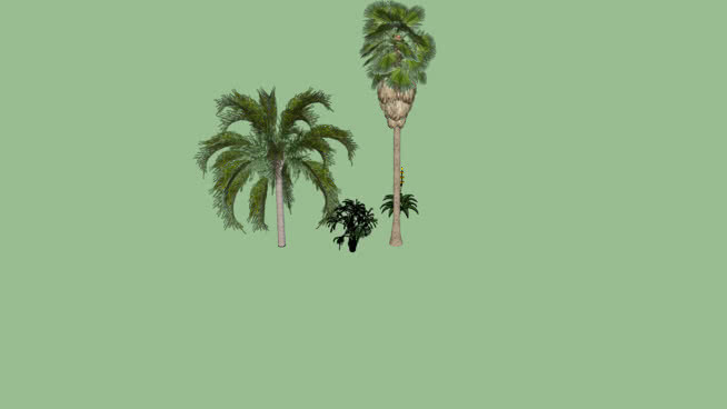植物收藏V3.0（热带版） 其他 植物 谷仓蜘蛛 蜜蜂 画