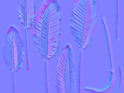 其他法线